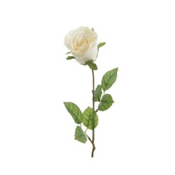 ROSA BLANCA 45CM TALLO