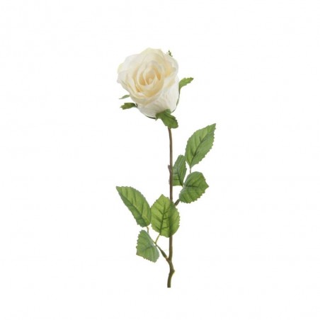 ROSA BLANCA 45CM TALLO