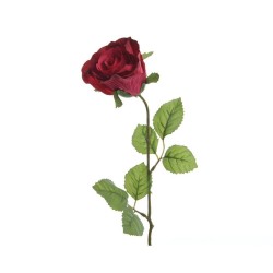 ROSA ROJA 45CM TALLO