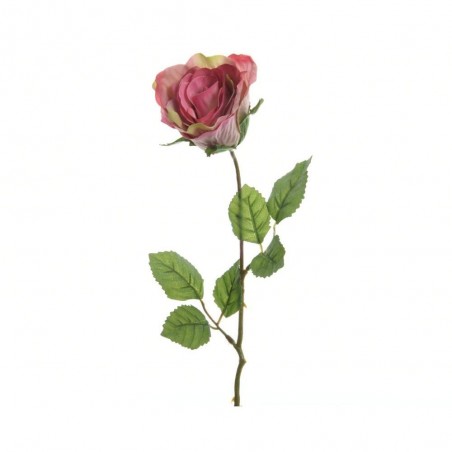 ROSA ROSA 45CM TALLO