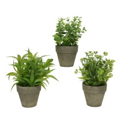 PLANTA VERDE VARIADA 25CM C/MACETA