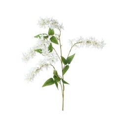 WISTERIA BLANCA L20.00-W5.00-H110.00CM