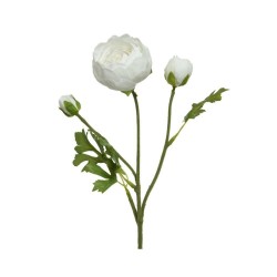RANUNCULO BLANCO 51CM TALLO