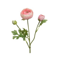 RANUNCULO ROSA 51CM TALLO