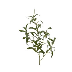 OLIVO RAMA 77CM