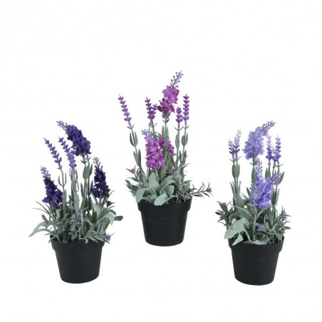 MACETA LAVANDA 1 UNIDAD