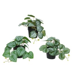 PLANTA VERDE VARIADA 17CM