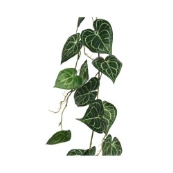 ANTHURIUM GUIRNALDA 115CM