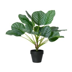 MARANTA ARTIFICIAL 50CM MACETA