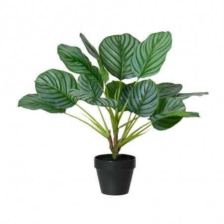 MARANTA ARTIFICIAL 50CM MACETA