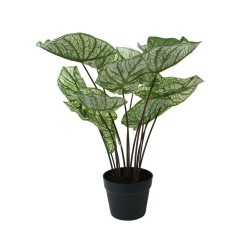 CALADIUM ARTIFICIAL 50 CM MACETA