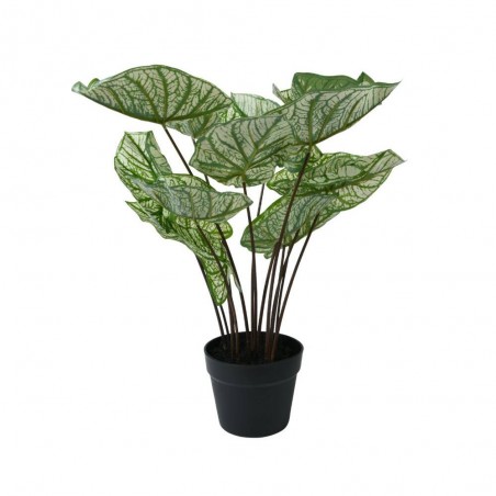 CALADIUM ARTIFICIAL 50 CM MACETA