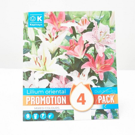 LILIUM ORIENTAL PROMO X4