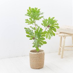 HIGUERA ARTIFICIAL 85CM MACETA