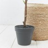 HIGUERA ARTIFICIAL 85CM MACETA