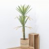 YUCA ARTIFICIAL125CM MACETA