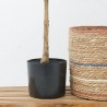 HIGUERA ARTIFICIAL 112CM MACETA