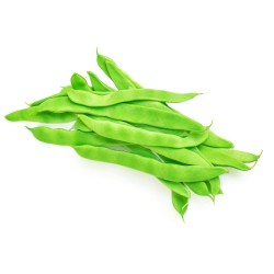 JUDÍA PLANA DE ENRAME BANDEJA 6UDS