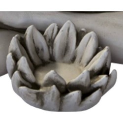 FLOR AMIRA/AINA MUSGO.