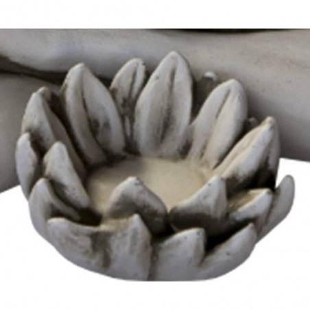 FLOR AMIRA/AINA MUSGO.