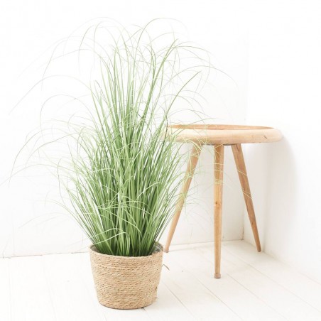 GRASS D50X100CM MACETA