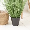 GRASS D50X100CM MACETA