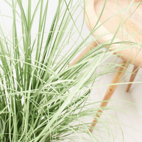 GRASS D50X100CM MACETA