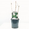 VIBURNUM OPOLUS 3L