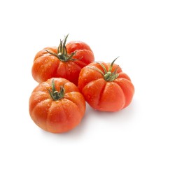 TOMATE MONTSERRAT EN MACETA