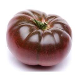 TOMATE MORADO EN MACETA