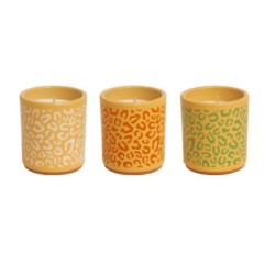 VELA VASO SAFARI CITRONELA