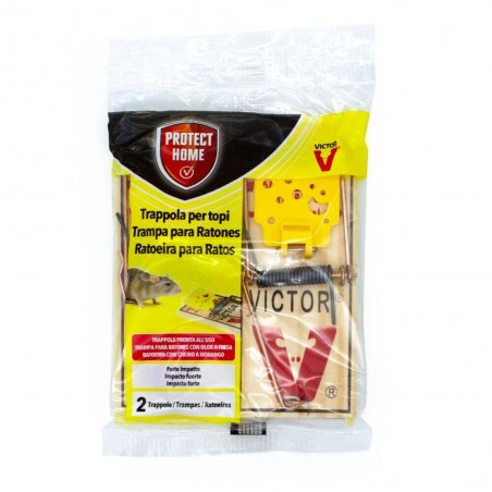 CEPO MADERA RATON PH 2UD