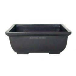 TIESTO BONSÁI PLAST. 15X10X6 CM