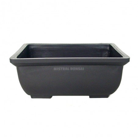 TIESTO BONSÁI PLAST. 15X10X6 CM