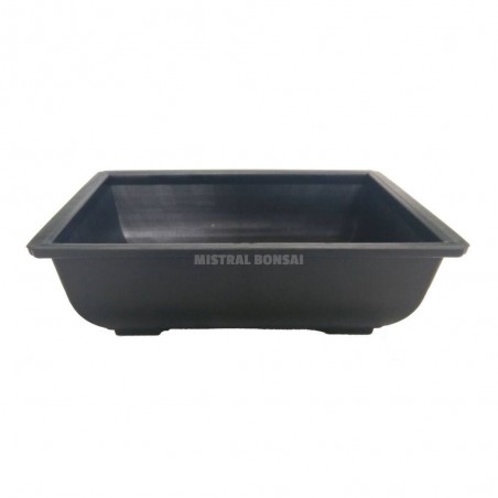 TIESTO BONSAI PLAST. 17X12,5X5,5 CM