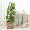 PHILODENDRON ARTIFICIAL 80CM MACETA