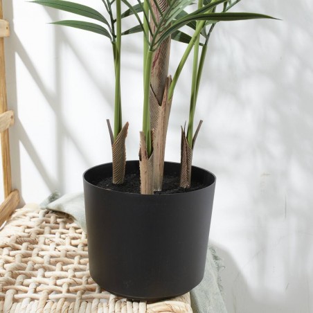PALMERA CHAMAEDOREA UV 90CM MACETA