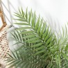 PALMERA CHAMAEDOREA UV 90CM MACETA