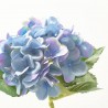 HORTENSIA 54 CM AZUL