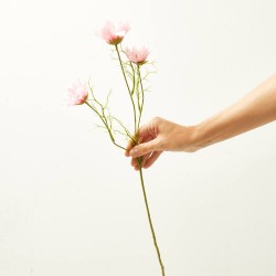 MARGARITA ROSA 63CM TALLO