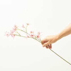 TWEEDIA ROSA 69CM TALLO