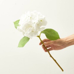 HORTENSIA BLANCA 47CM TALLO