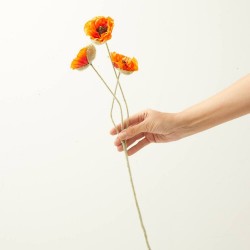 POPPY X 3 NARANJA 61CM TALLO