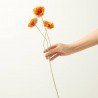 POPPY X 3 NARANJA 61CM TALLO