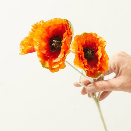 POPPY X 3 NARANJA 61CM TALLO