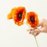 POPPY X 3 NARANJA 61CM TALLO