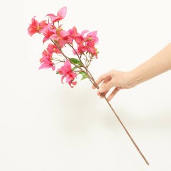 BUGANVILLA ROSA FUCSIA 68CM TALLO