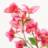 BUGANVILLA ROSA FUCSIA 68CM TALLO