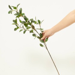 RUSCUS VERDE 90CM TALLO