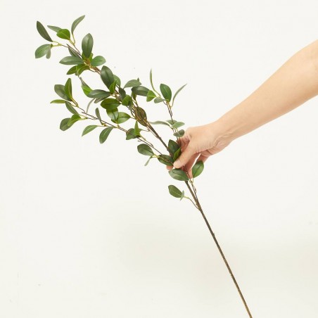 RUSCUS VERDE 90CM TALLO